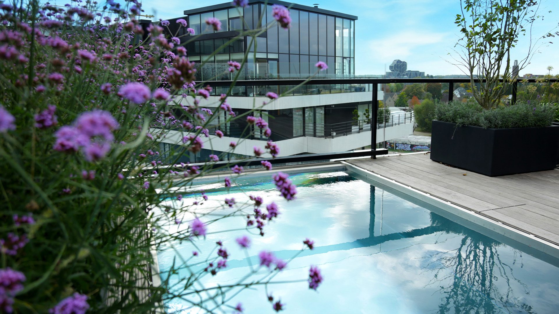 PenthousePools_Zuidzicht-Hasselt (3)